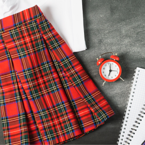 School Skirt